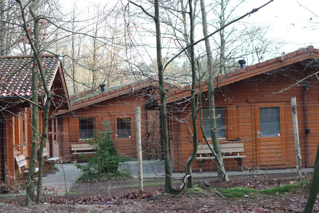 Lodges Veluwse Poort Dieren Exterior foto