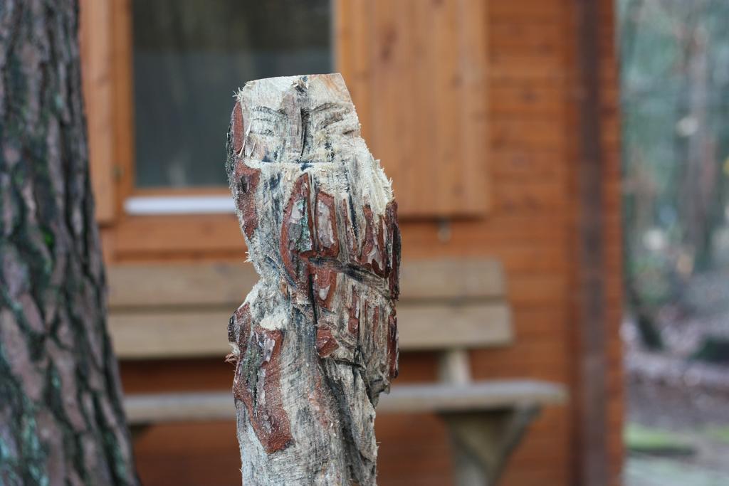 Lodges Veluwse Poort Dieren Exterior foto