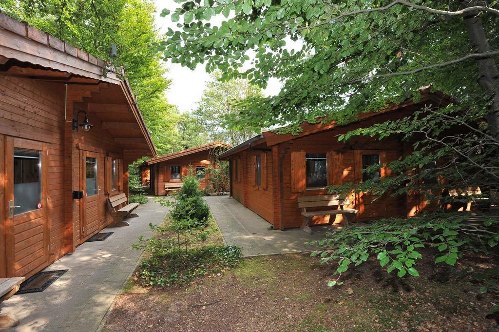 Lodges Veluwse Poort Dieren Quarto foto